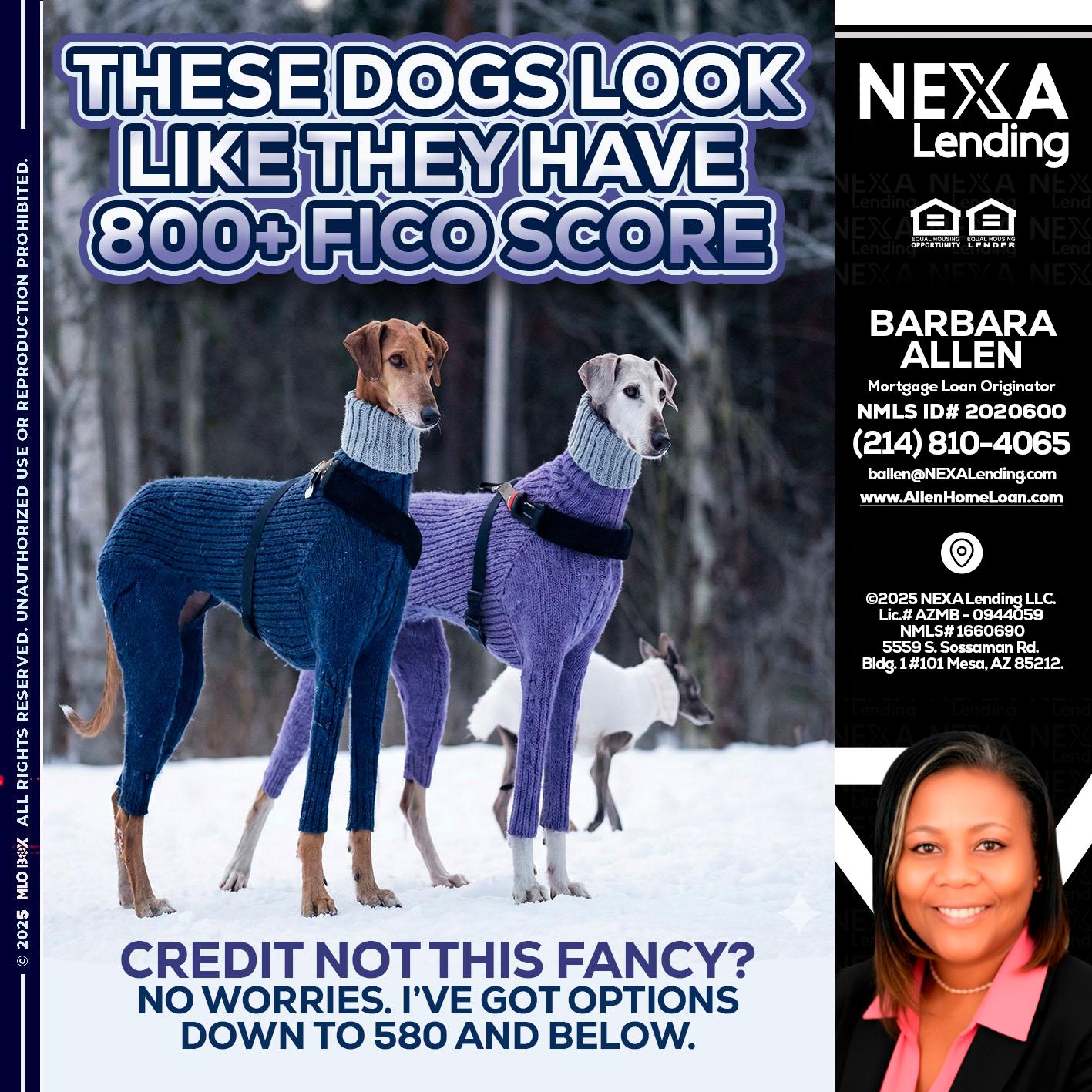 THESE DOGS LOOK - Barbara Allen -Mortgage Consultant